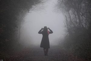 3BAE792800000578-4070206-A_walker_makes_their_way_through_the_heavy_fog_in_Epping_Forest_-a-11_1482949021994