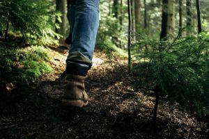 legs-of-a-person-walking-through-a-forest_1304-199